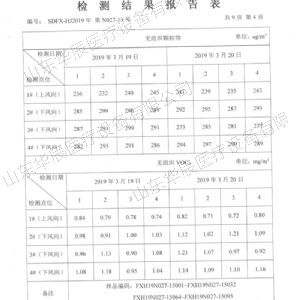 檢測報告表